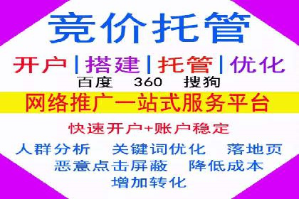 行业案例研究：SEM竞价托管的策略与挑战